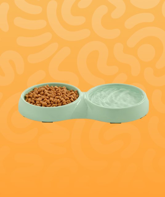Feeding & Bowls
