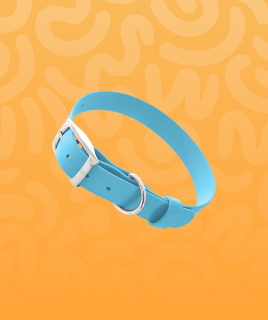 Collars & Leashes