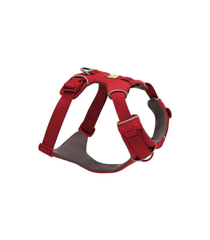 Collars & Leashes