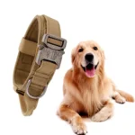 Breathable Nylon Dog Collar Outdoor Training Leash Kit Pet Accessories for Medium and Large Breed Dogs - Image 4