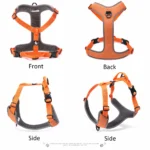 Truelove Dog Harness Reflective No Pull Small Medium Large Vest Quick Adjustbale Matching Leash Collar Training Running TLH6071 - Image 5