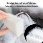 1/5/10PCS Cat Dog Massage Brush Pet Special Brush Multifunctional Dust Removal Sponge Cleaning Brush Simulated Cat Tongue Comb - Image 4