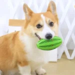 Pet Dog Chew Toys Teeth Cleaning Snack Ball Pet Dog Toy Ball Natural Rubber Super Tough Interactive Bouncy Pet Supplies - Image 2