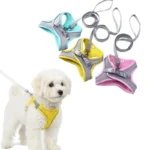Adjustable Soft Mesh Pet Harness with Leash Escape-Proof Reflective Dog Walking Vest for Small and Medium Cats Puppies - Image 5