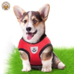 Dog Vest Walking Leash For Puppy Dog Cat Collar Polyester Adjustable Mesh Dog For Small Medium Pet Accessories - Image 2