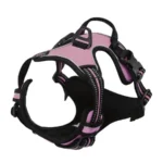 Dog Collars Harness Big Vests Leash Pet Shop Everything for Dogs Leather Puppy Accessories Medium Small Set - Image 11