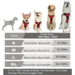Dog Collars Harness Big Vests Leash Pet Shop Everything for Dogs Leather Puppy Accessories Medium Small Set - Image 6