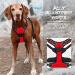 Dog Collars Harness Big Vests Leash Pet Shop Everything for Dogs Leather Puppy Accessories Medium Small Set - Image 2