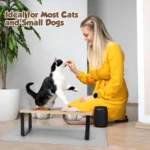 Elevated Cat Bowls with Food Mat 15° Tilted Stand Raised Cat Dishes for Food and Water Feeder 2 Stainless Steel Bowls for Cats - Image 6