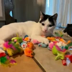 56pcs/28pcs/14pcs Cat Toys Mixed Pack. A Combination of Various Plastic Toys and Plush Toys Suitable for Multiple Cats To Play - Image 3
