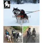 No-Tangle Double Dog Leash Coupler - Image 4