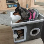 Foldable Multi-Level Cat House with Cushion - Image 3