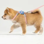 Breathable Cat Harness & Leash Set - Image 5