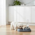 Automatic Pet Water Dispenser & Feeding Bowl - Image 4