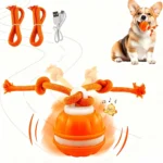 Motion-Activated Dog Ball with Rope