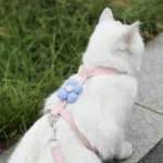 Breathable Cat Harness & Leash Set - Image 2