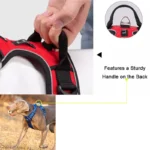 Reflective Padded Dog Walking Harness - Image 4