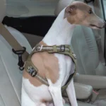 Locking Dog Car Seat Belt Clip - Image 3