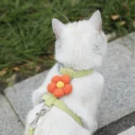 Breathable Cat Harness & Leash Set - Image 7