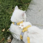 Breathable Cat Harness & Leash Set - Image 4
