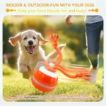 Motion-Activated Dog Ball with Rope - Image 3