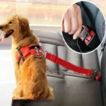 Adjustable Pet Car Seat Belt & Harness Lead