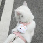 Breathable Cat Harness & Leash Set - Image 10