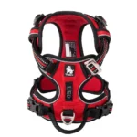 Reflective Padded Dog Walking Harness - Image 12