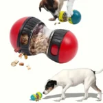 Interactive Slow-Feed Snack Dispenser - Image 5
